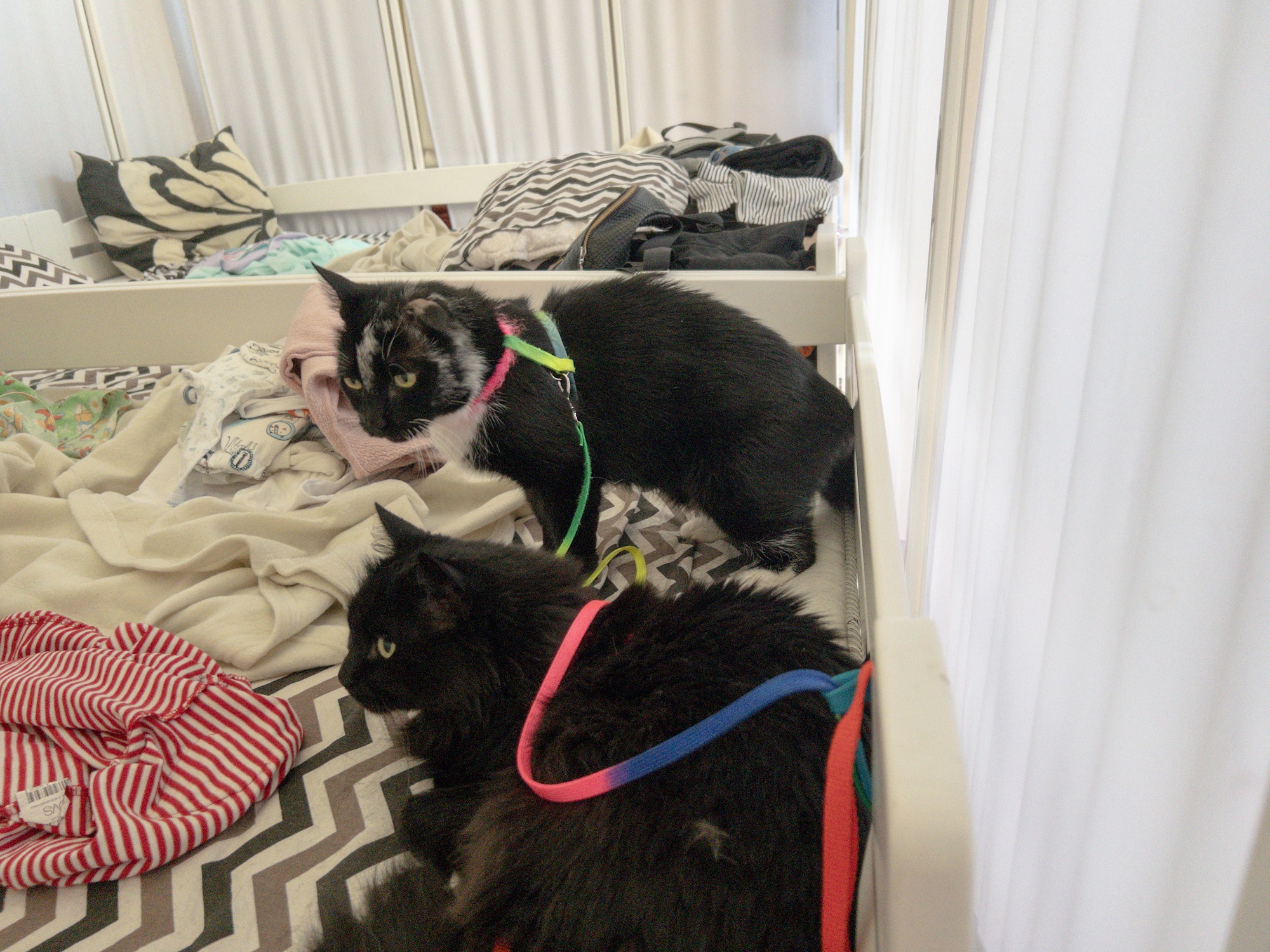 Хто і як живе у прихистку Urban Camp, який створили чемпіони вуличних культур із Харкова (фоторепортаж)